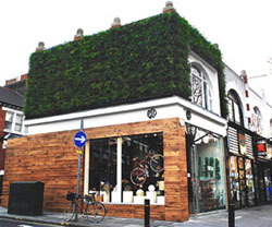 Colin Firth's new project in Chiswick- Eco Age promoting all things sustainable and beautiful.
