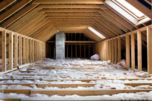 Types of blown in insulation include spray foam, soy, cellulose or newspaper, as well as wool. 