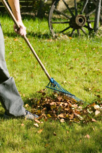 Undertaking fuel reduction activities can help to protect your home in the event of a bushfire.