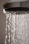 Water saving often starts in the shower with water efficient shower heads and an egg timer.